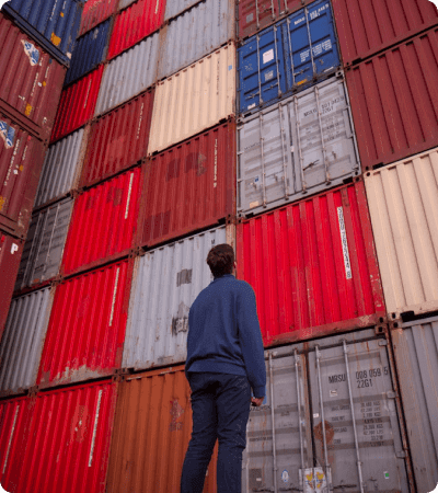 World Food Trading food trading business overview