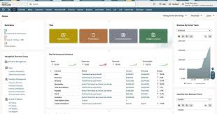NetSuite-dashboard