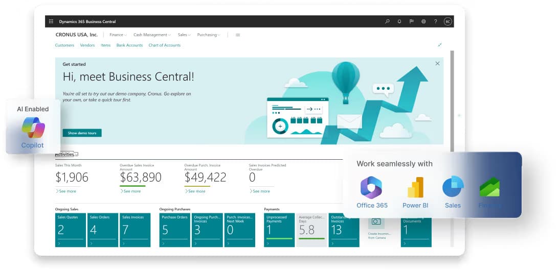 Microsoft Business Central ERP Demo: What to Expect Before You Buy